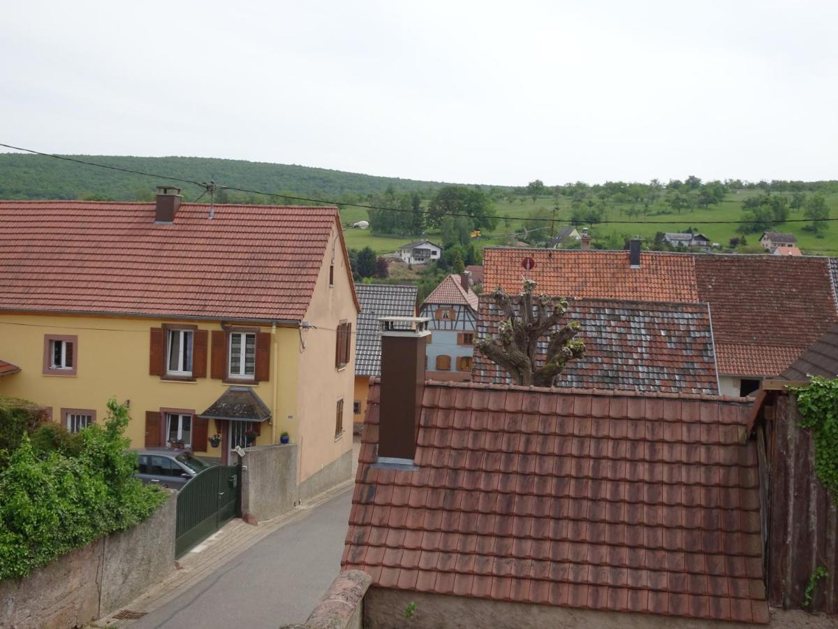 Villa Le Noyer Cosswiller Exterior foto